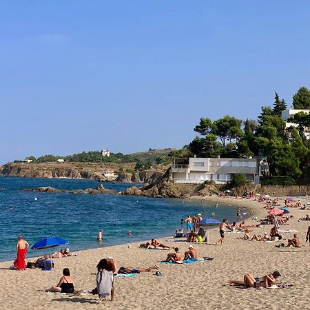 Studio Moderne Argeles Sur Mer.La Plage A Pieds, Espagne A 30Mn Bagian luar foto