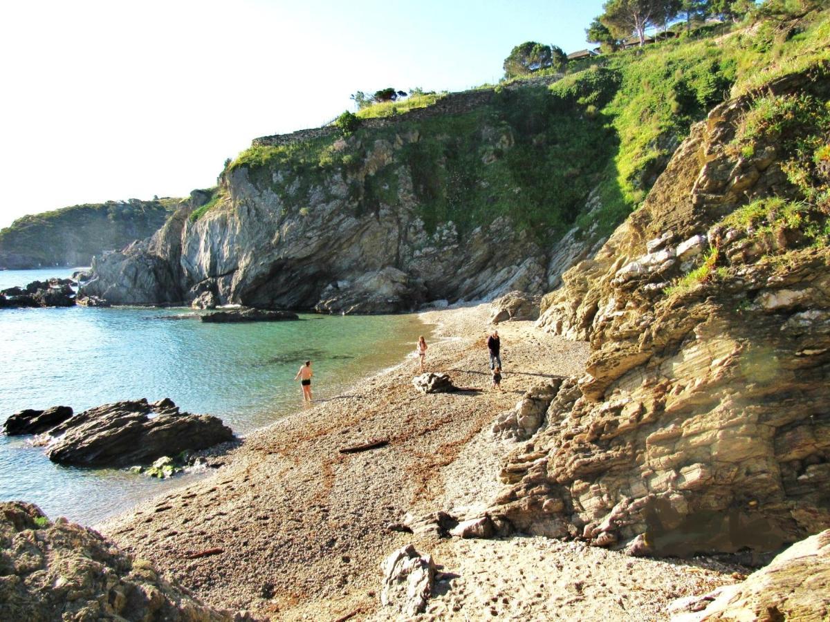 Studio Moderne Argeles Sur Mer.La Plage A Pieds, Espagne A 30Mn Bagian luar foto