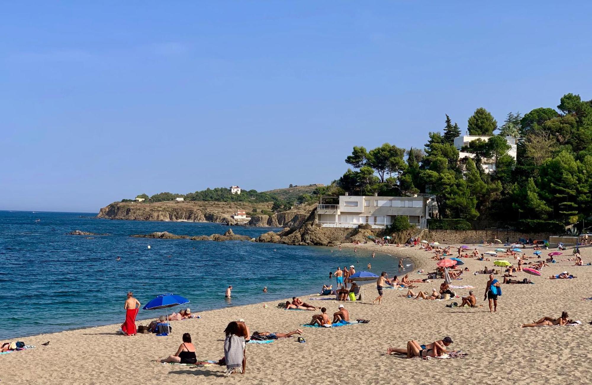 Studio Moderne Argeles Sur Mer.La Plage A Pieds, Espagne A 30Mn Bagian luar foto